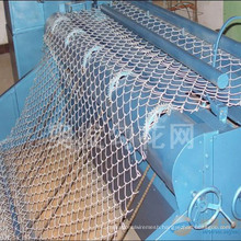 Manufacturer Price and High Quanlity Chain Link Fence /Professional Poly Coated or Galvanized Chain Link Fence for Sale